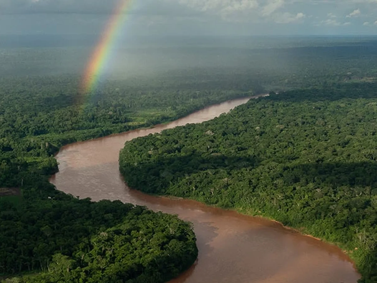 Amazon Basin Rainforest