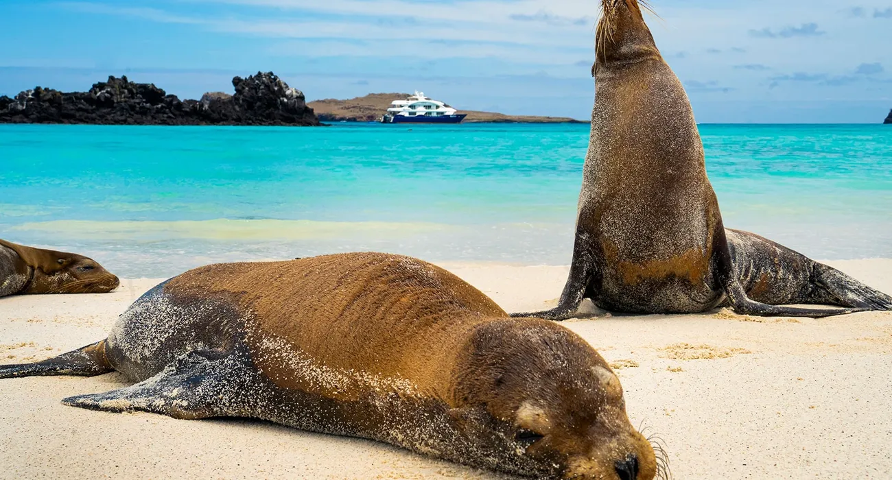 The Endemic Galapagos Cruise video