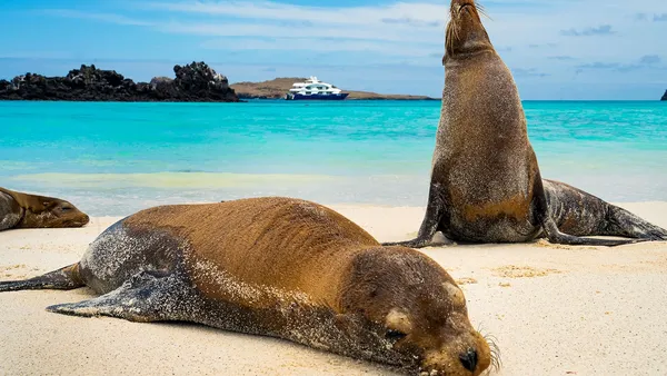 The Endemic Galapagos Cruise Image 1