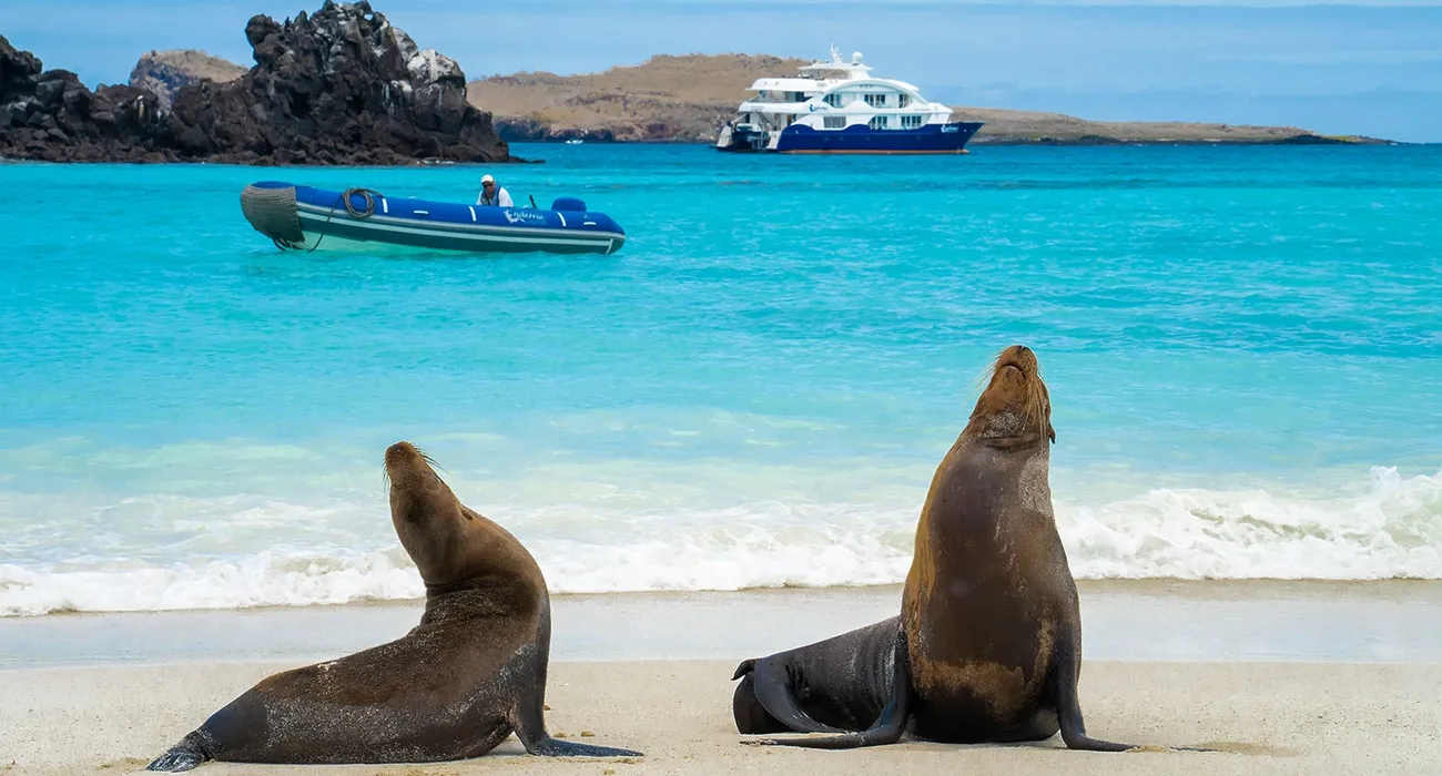 The Endemic Galapagos Cruise video