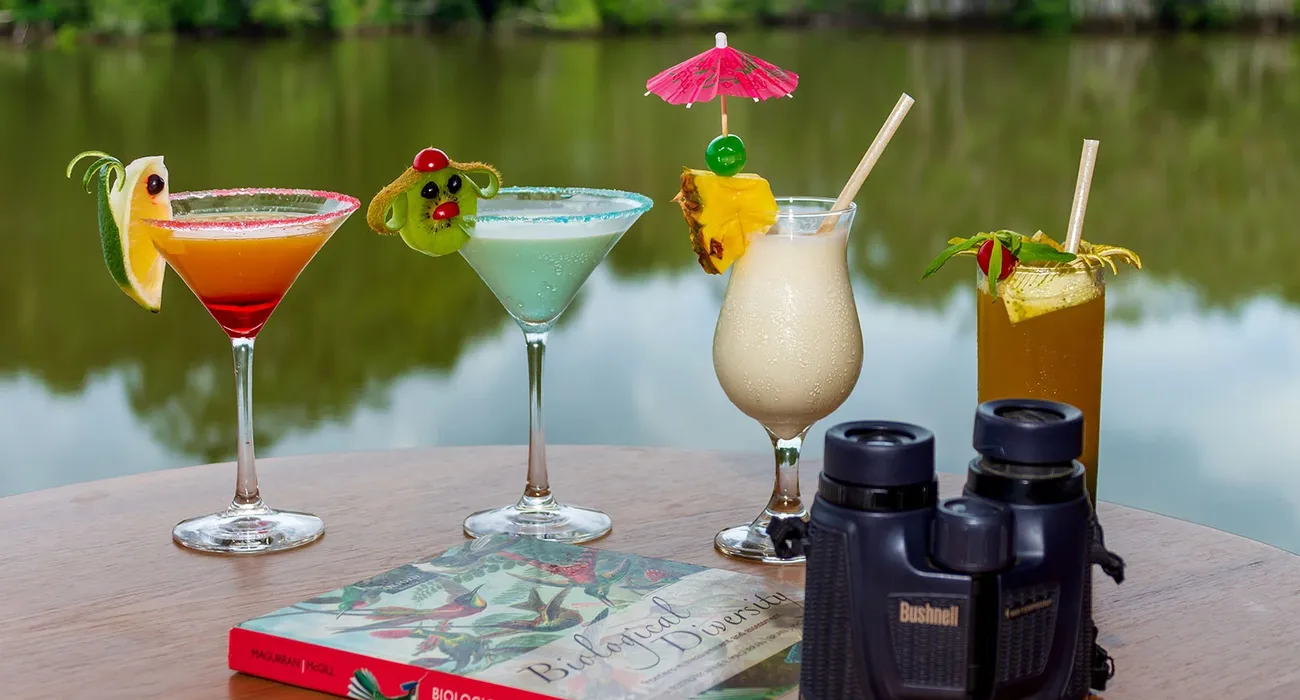 La Selva Eco-Lodge & Retreat video