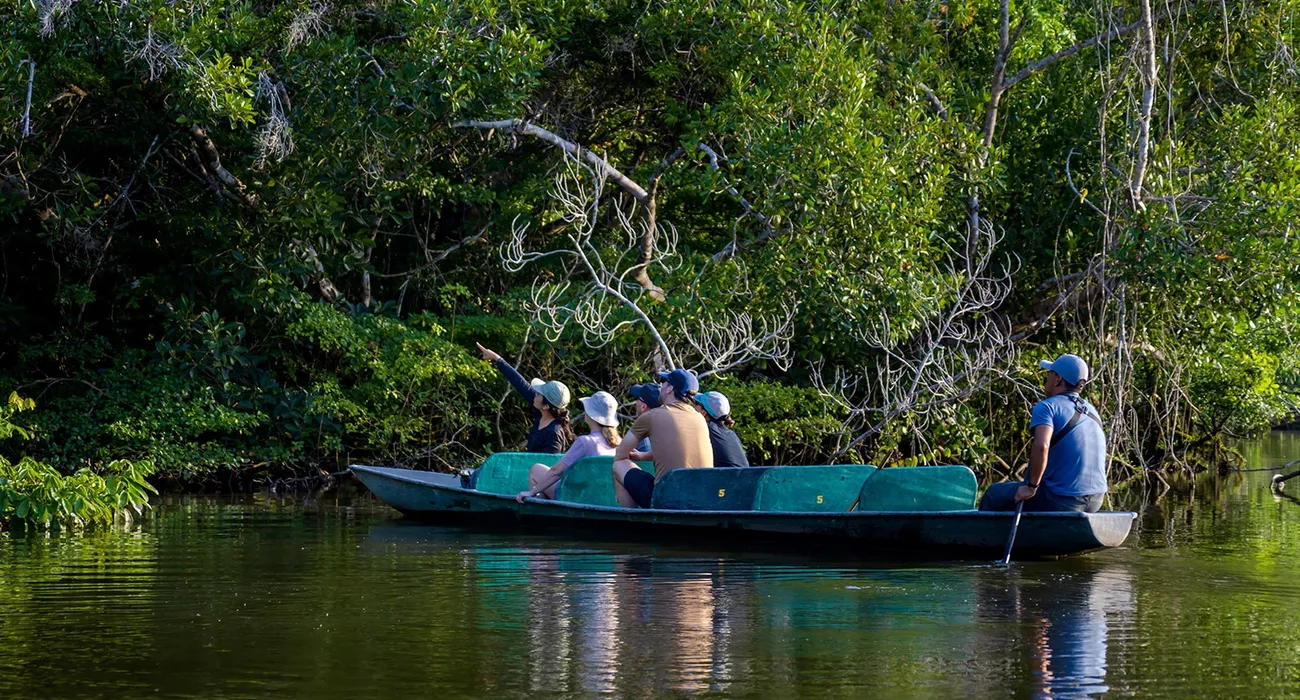 La Selva Eco-Lodge & Retreat Video Cover