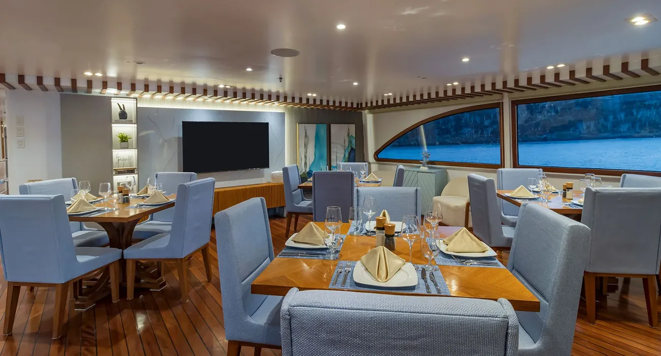 The Ocean Spray Cruise video