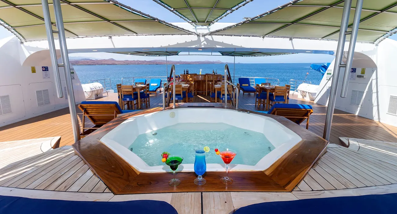 The Petrel Luxury Cruise video