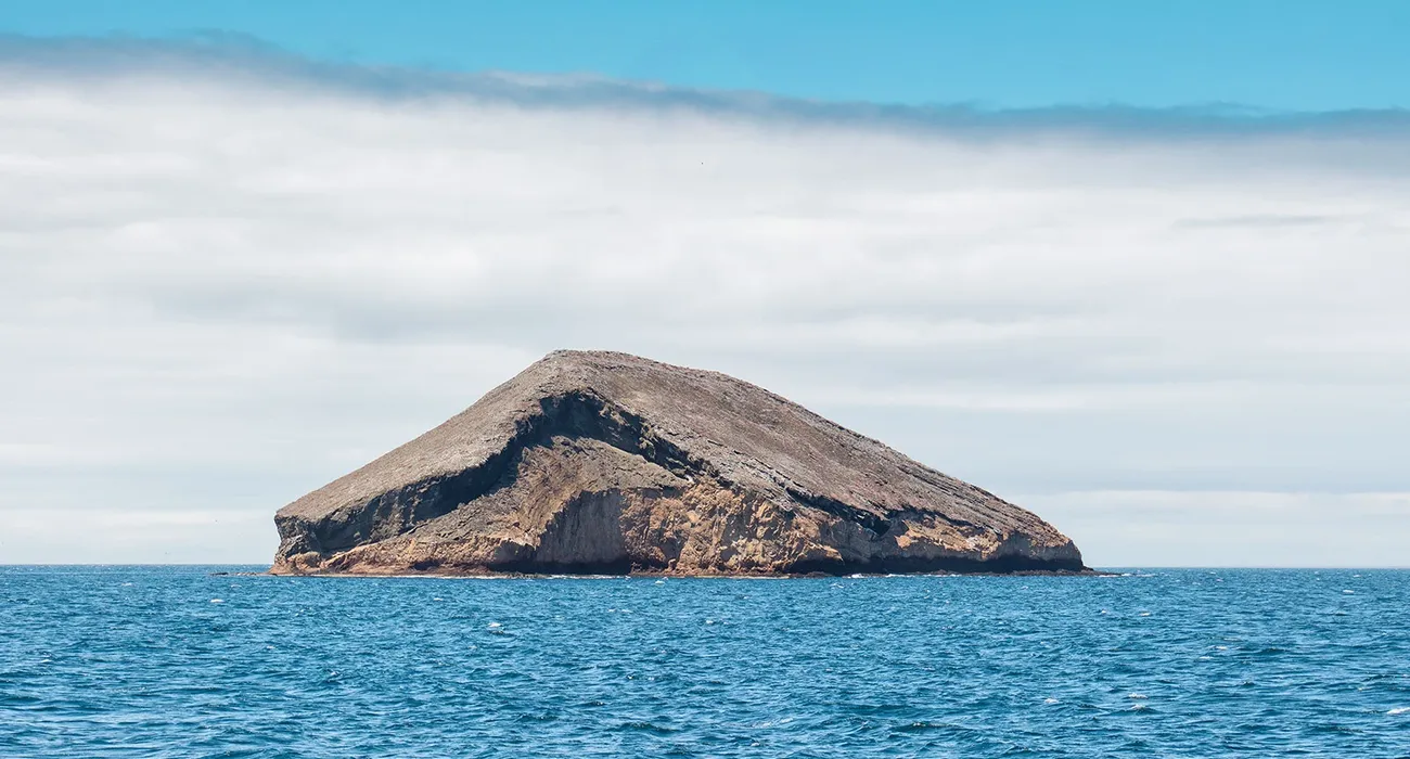 The Petrel Luxury Cruise Video Cover