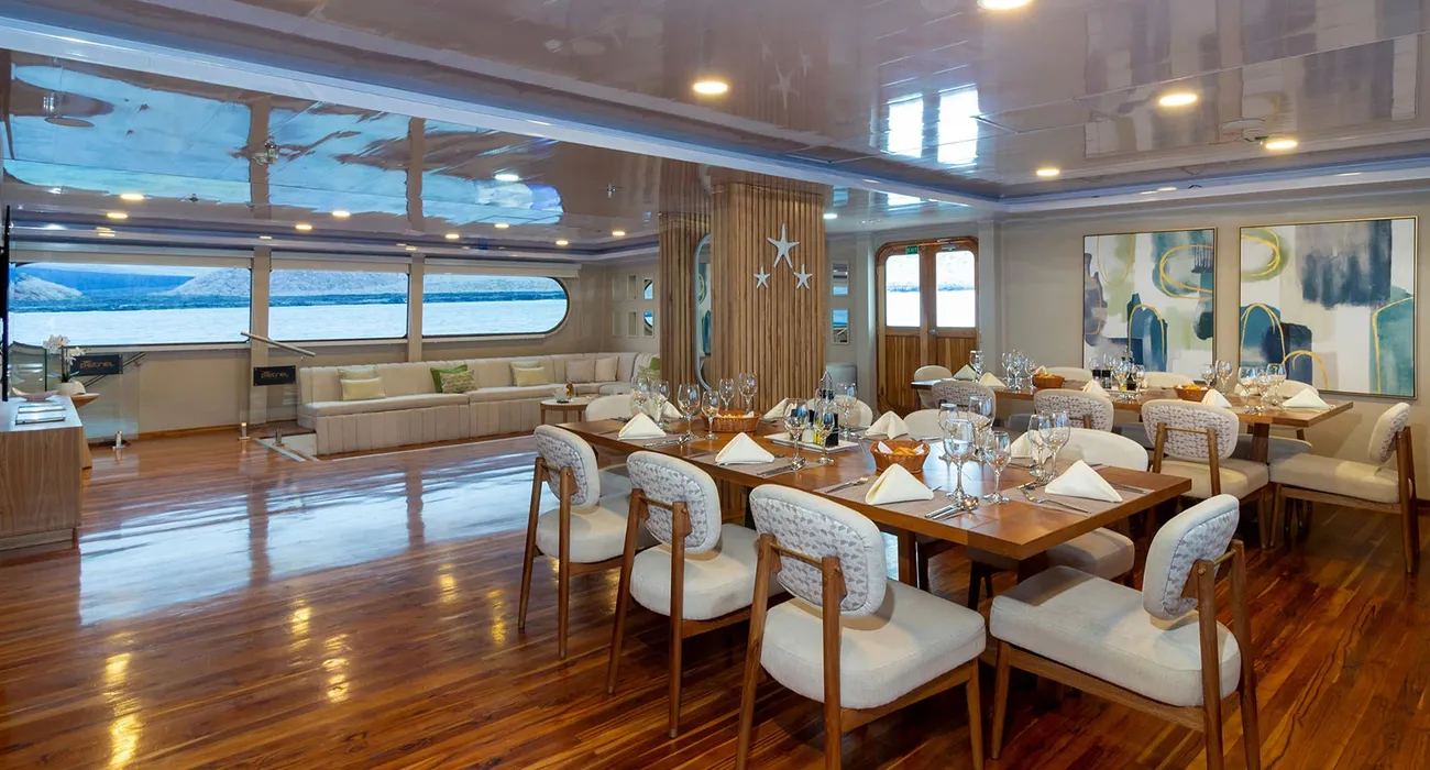 The Petrel Luxury Cruise video