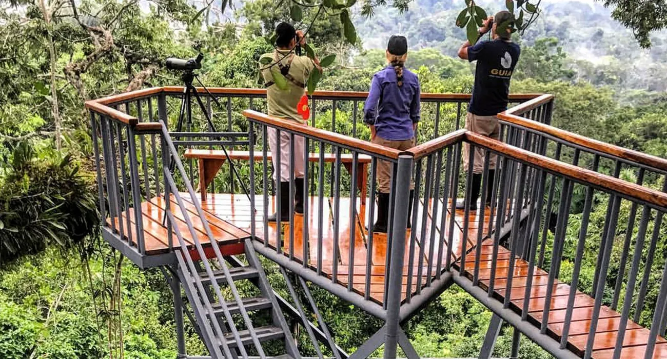 The Sacha Lodge video