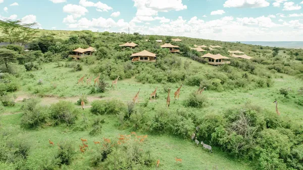 The Mara Bushtops Safari Camp Image 1