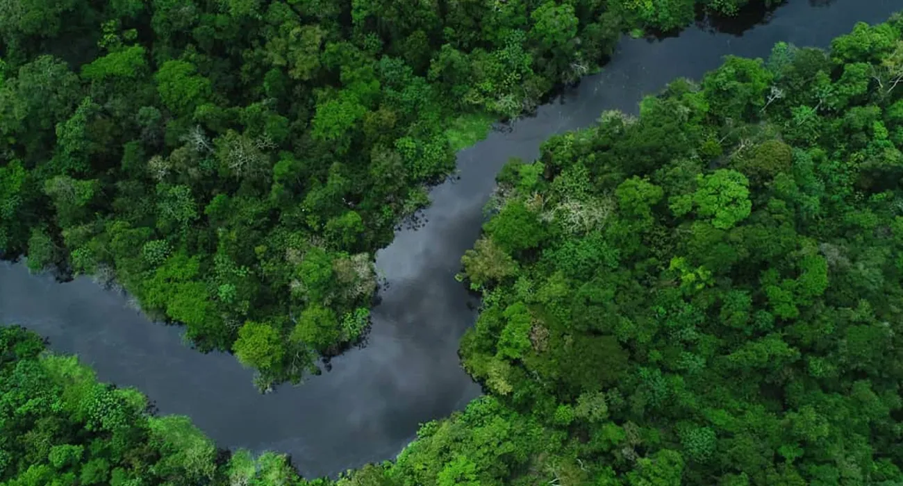 The Delfin III video