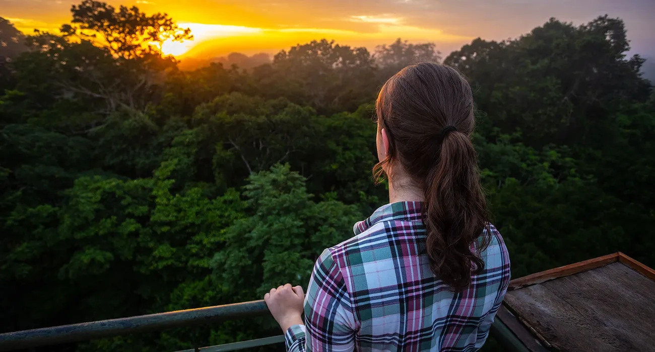 The Posada Amazonas Lodge video