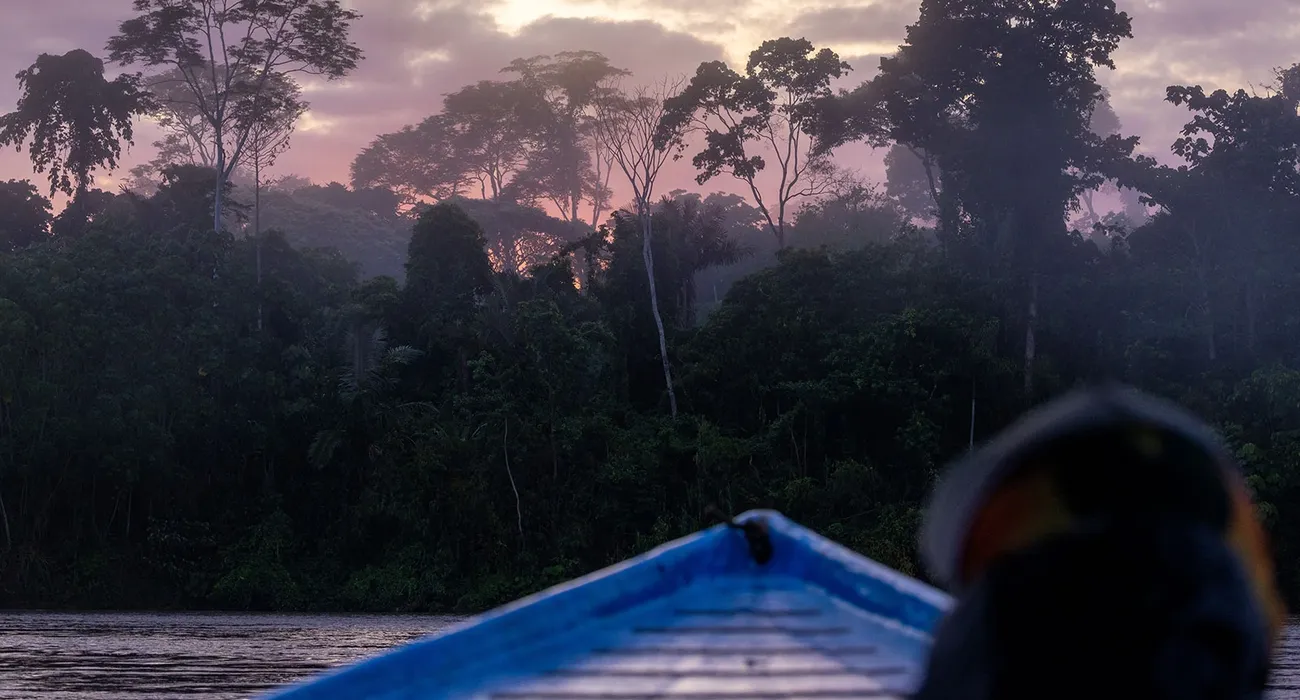 The Posada Amazonas Lodge video