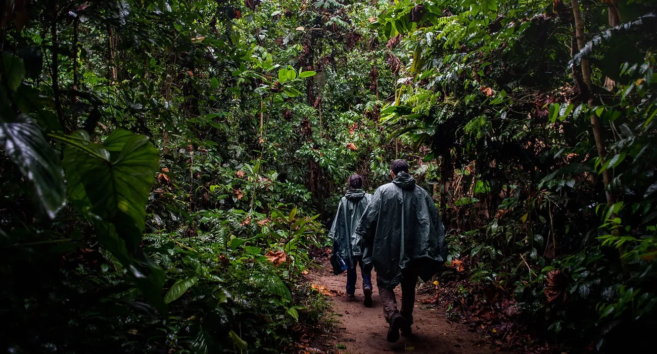 The Posada Amazonas Lodge video