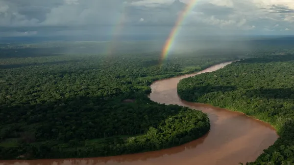 The Refugio Amazonas Lodge Image 1