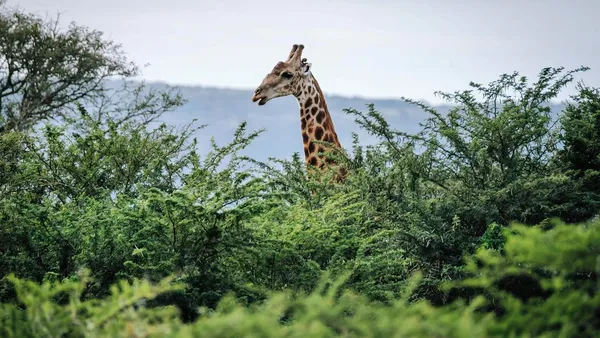 The Mthembu Lodge Image 1