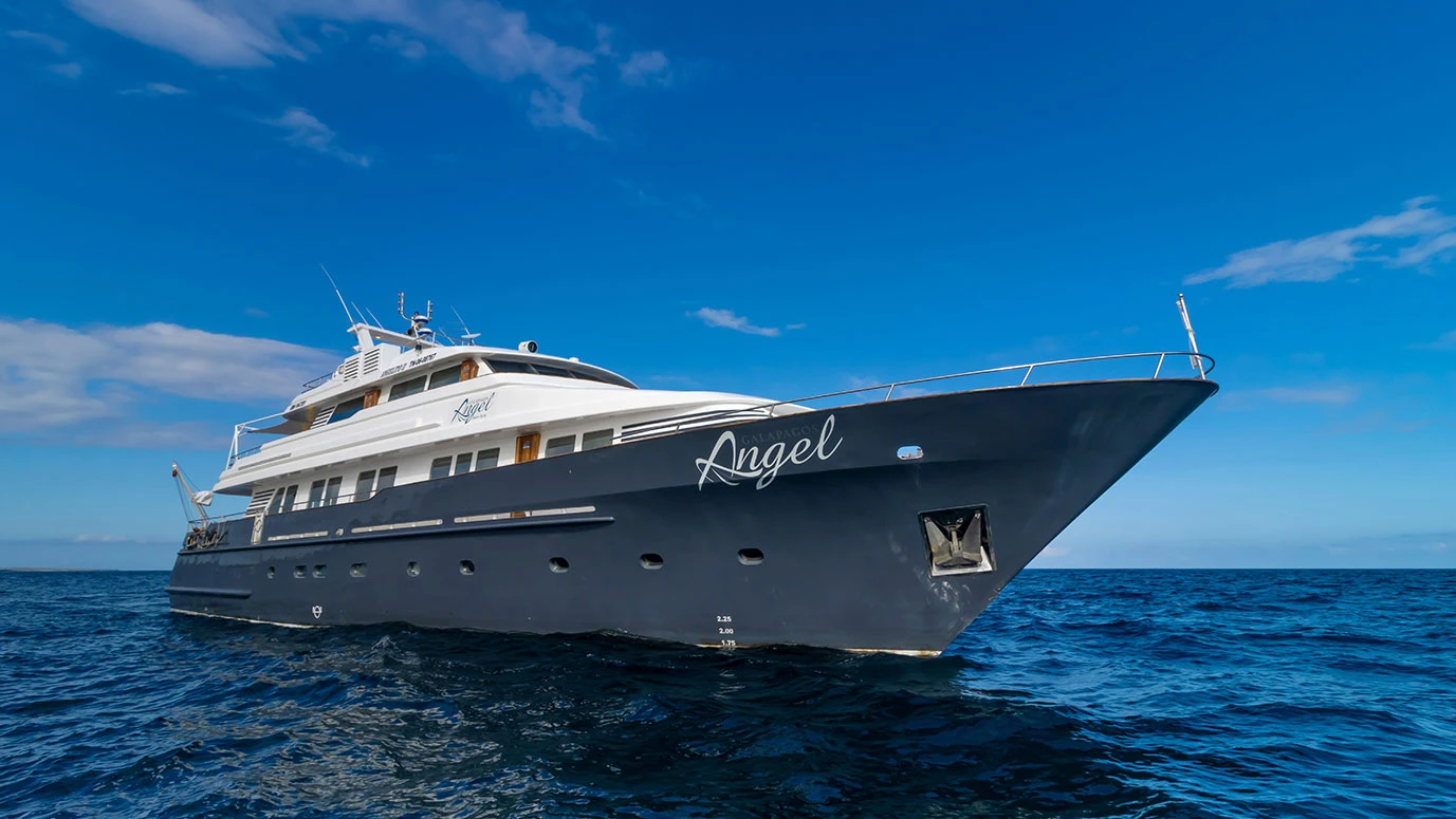 Royal Galapagos