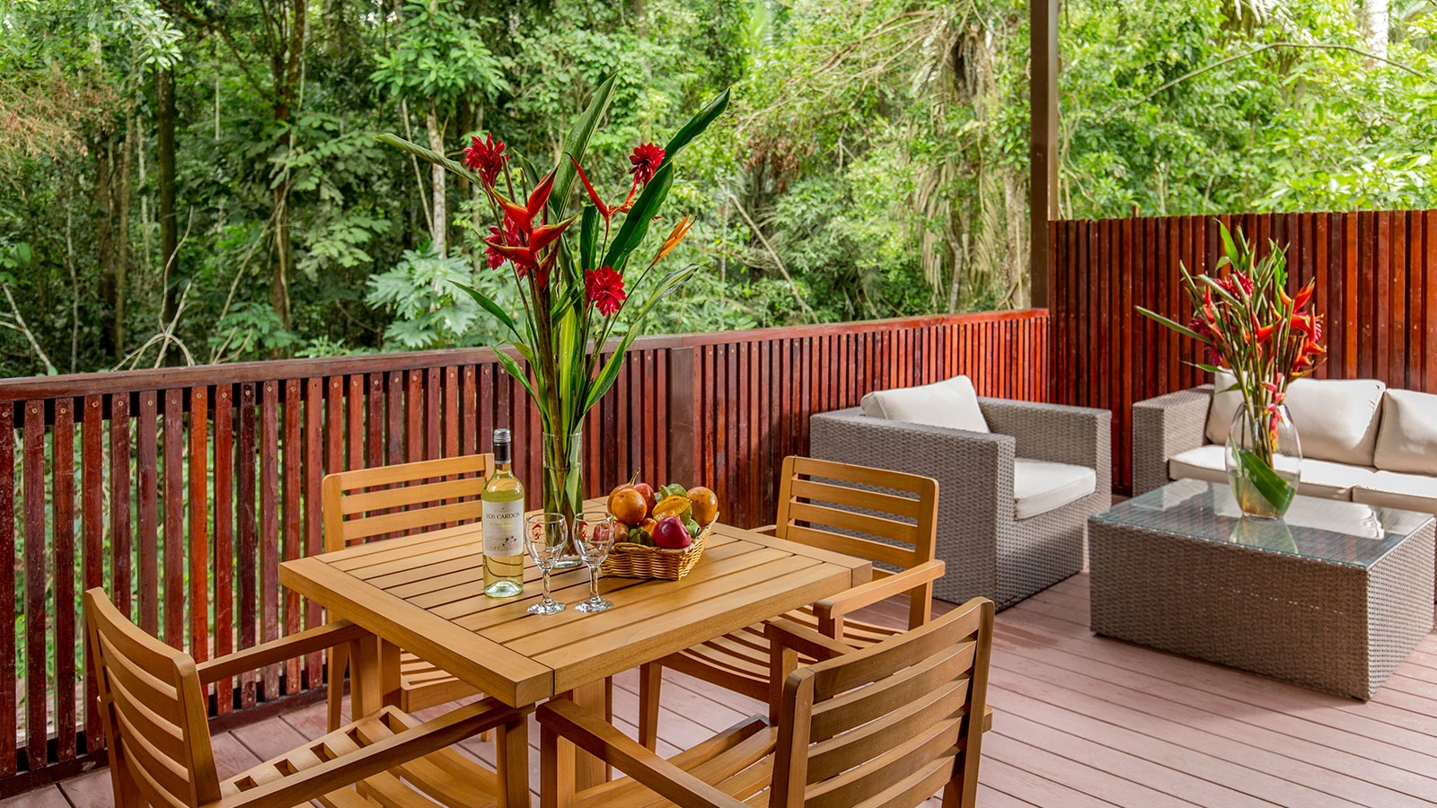 Rainforest Expeditions